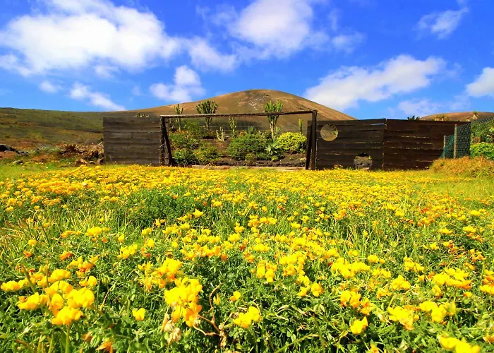 Niro - Sauna, Beheizter Pool, Billiard Tisch, Tischtennis *